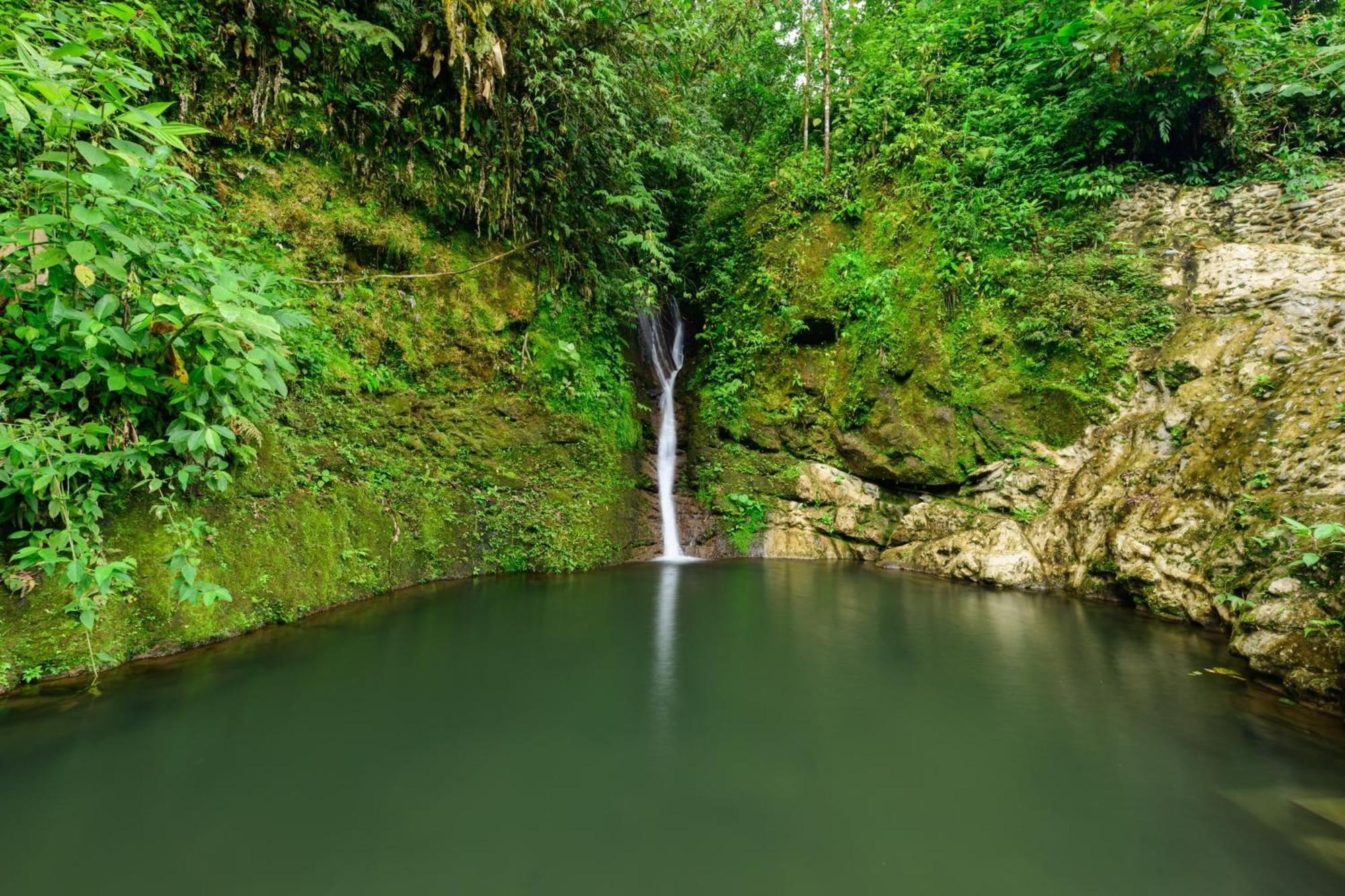 Hotel Rivel - Restaurant & Nature Retreat Turrialba Exterior foto