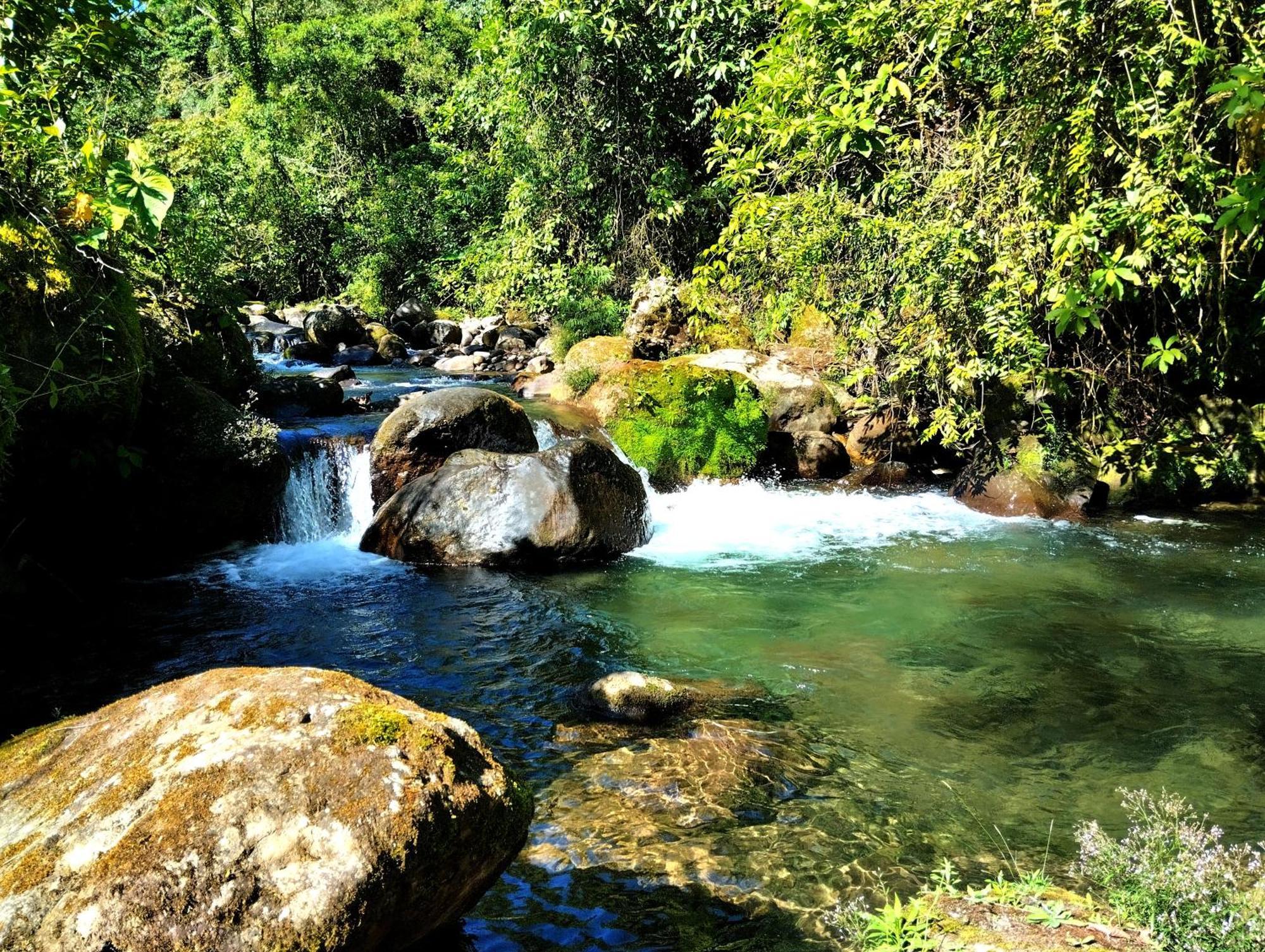 Hotel Rivel - Restaurant & Nature Retreat Turrialba Exterior foto