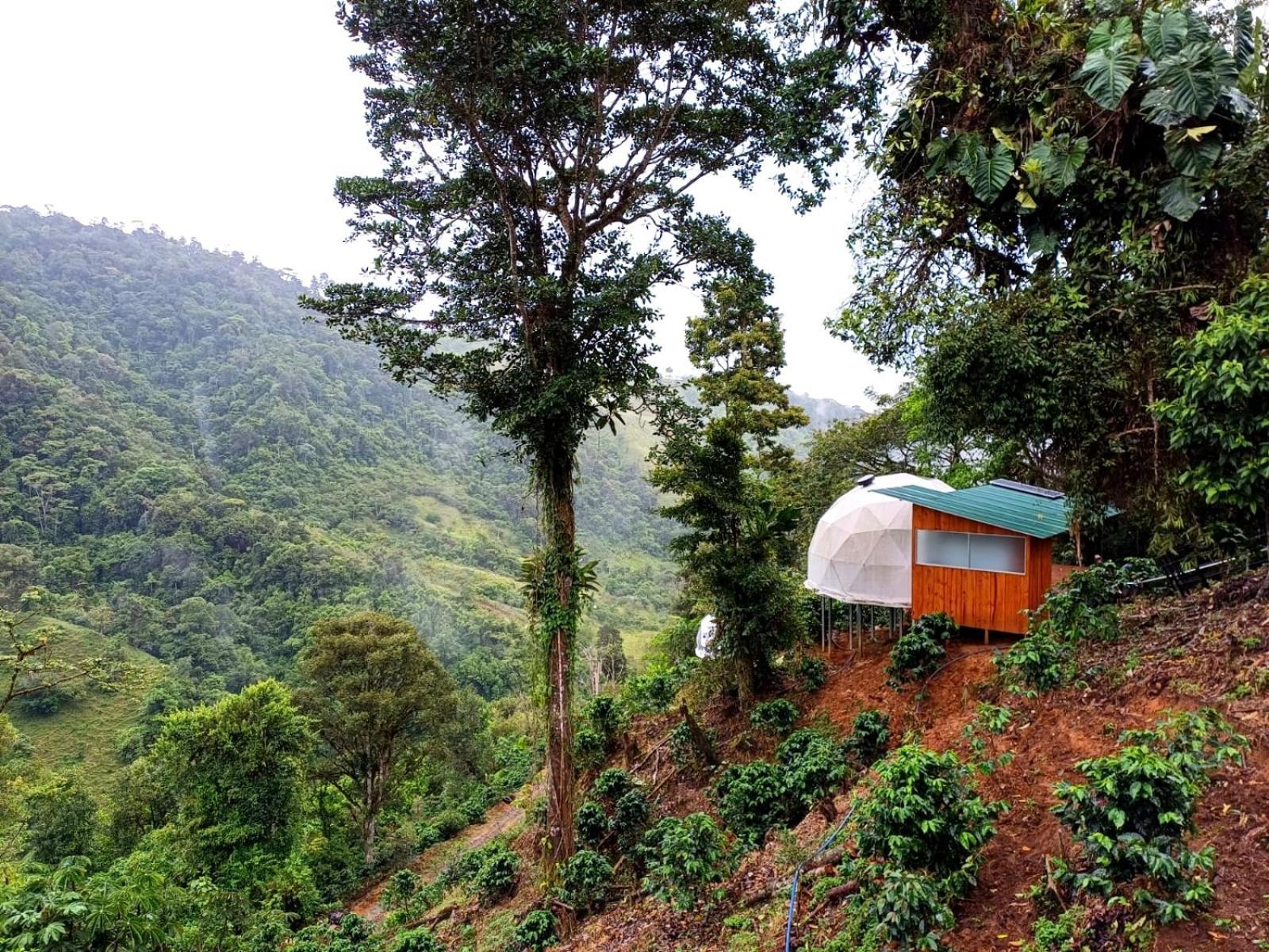 Hotel Rivel - Restaurant & Nature Retreat Turrialba Exterior foto