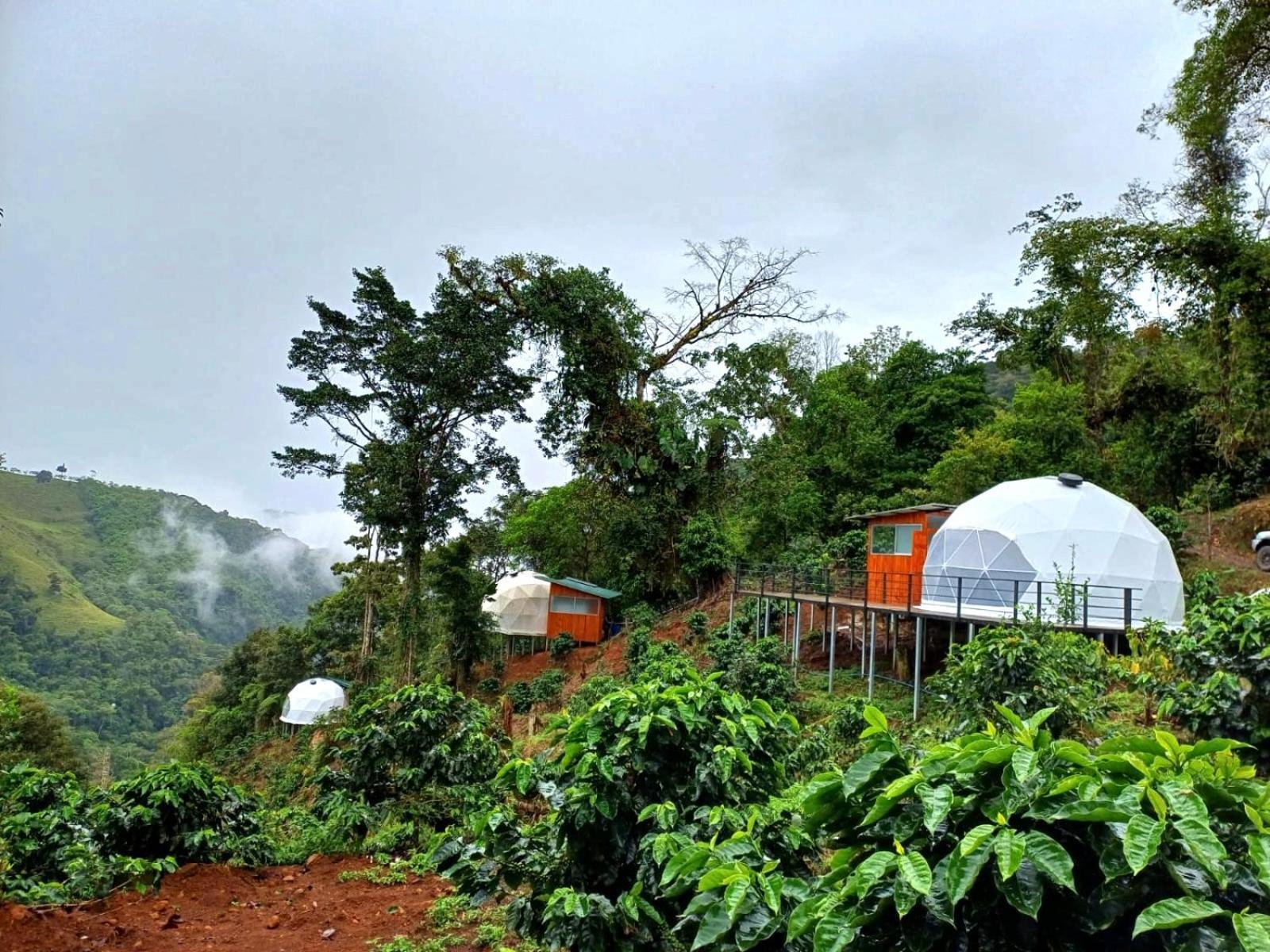 Hotel Rivel - Restaurant & Nature Retreat Turrialba Exterior foto