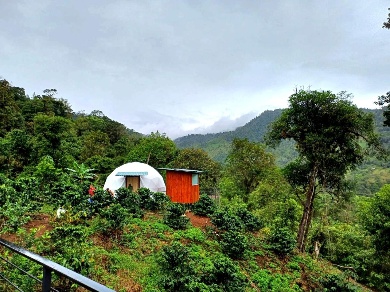 Hotel Rivel - Restaurant & Nature Retreat Turrialba Exterior foto