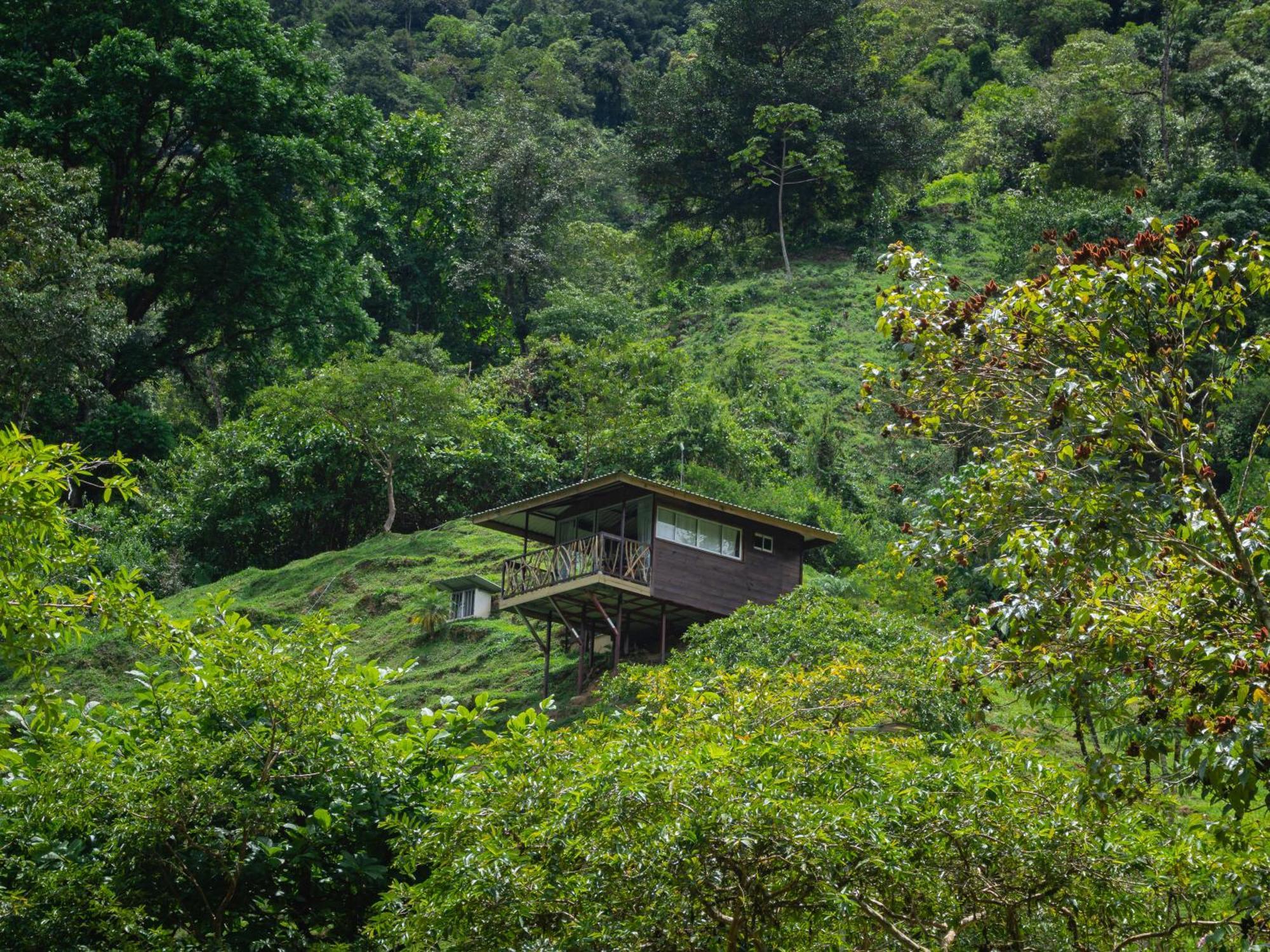 Hotel Rivel - Restaurant & Nature Retreat Turrialba Exterior foto